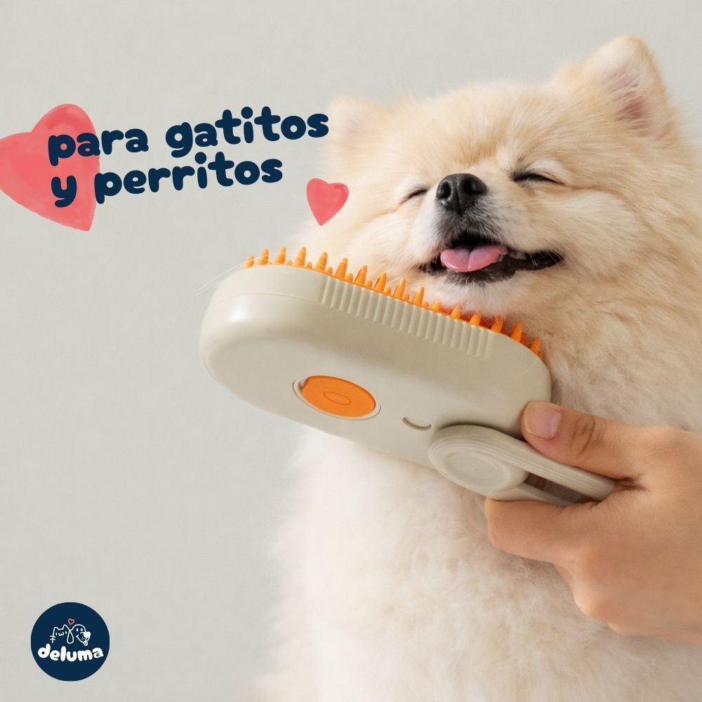 Cepillo Vaporizador y Masajeador