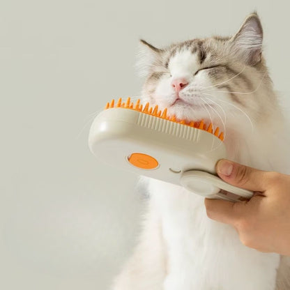 Cepillo Vaporizador y Masajeador