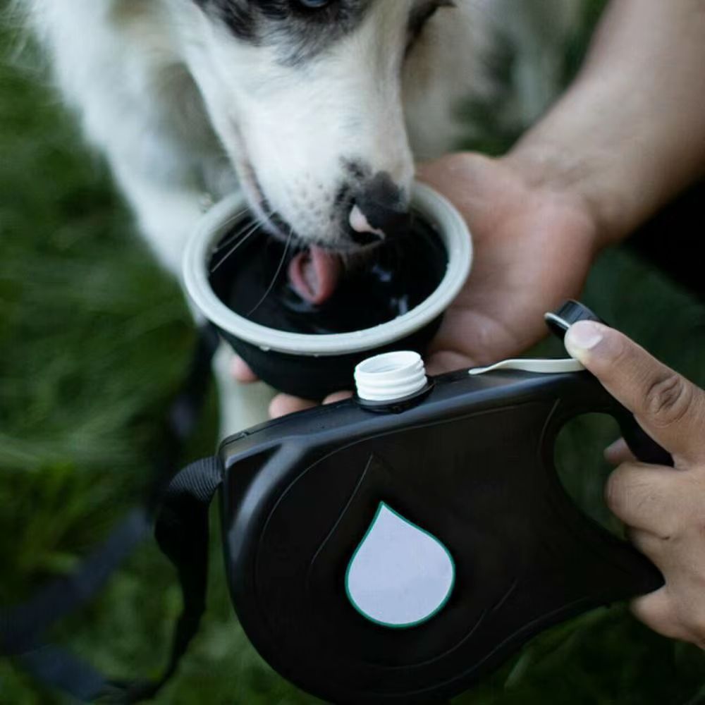 Correa retráctil 4 en 1 - Paseíto