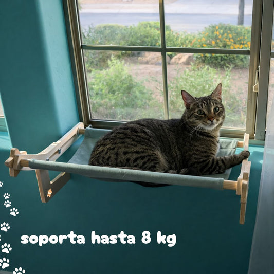 Hamaca Felina Confort