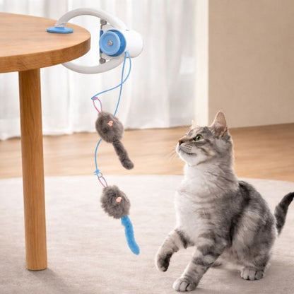 Juguete colgante para Gatos