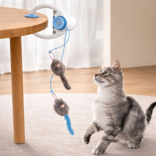 Juguete colgante para Gatos